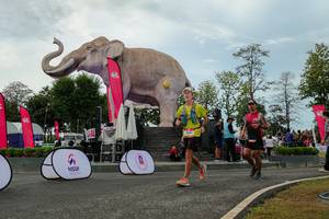 BIB: 
                            <button type="button" onclick="openModal(26528909)" class="btn btn-primary btn-sm float-right btn-popup" data-toggle="modal" data-target=".modal-high-quality">
                        <i class="fas fa-shopping-cart"></i> Add to Cart
                    </button>
                                            <button type="button" onclick="isThisMe(26528909, true)" class="btn btn-success btn-sm float-right btn-popup btn-isme hidden" data-toggle="tooltip" data-placement="bottom" title="นี่คือรูปของคุณใช่ไหม คลิกที่นี่เพื่อเอาเข้าอัลบั้ม">
                        <i class="fas fa-plus"></i> Add to album
                    </button>
                    <button type="button" onclick="isThisMe(26528909, false)" class="btn btn-warning btn-sm float-right btn-popup btn-isnotme hidden">
                        <i class="fas fa-ban"></i> Remove from album
                    </button>